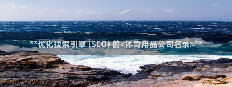 欧陆娱乐平台登陆地址在哪里：**优化搜索引擎 (SE
