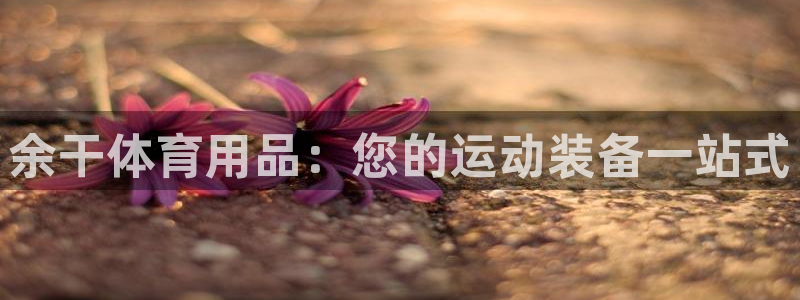 欧陆娱乐有限公司官网：余干体育用品：您的运动装备一站式