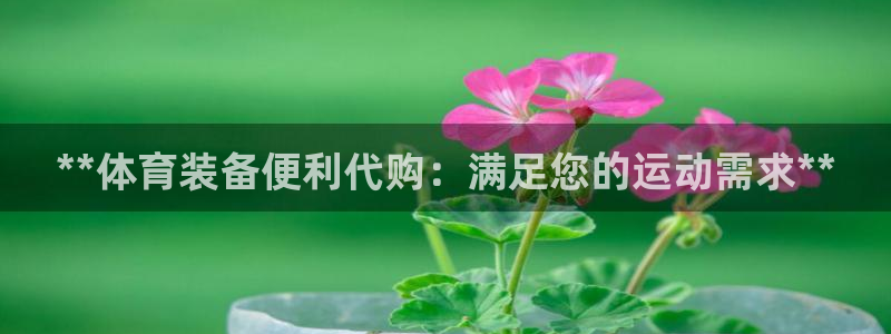 欧陆娱乐官网：**体育装备便利代购：满足您的运动需求**