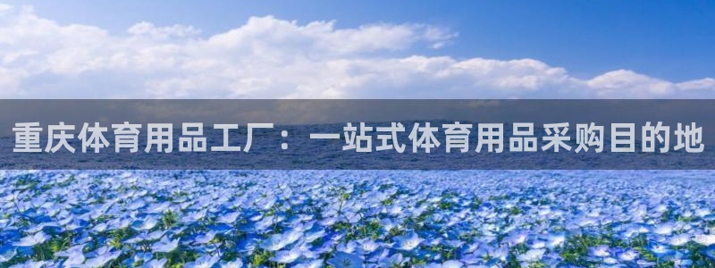 欧陆娱乐合法吗：重庆体育用品工厂：一站式体育用品采购