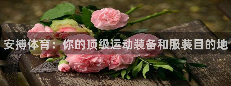 欧陆娱乐总代理
