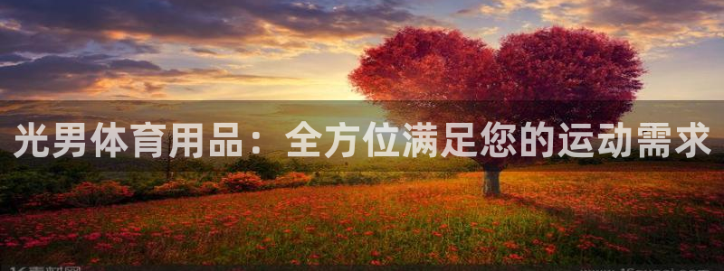 欧陆娱乐挂机项目：光男体育用品：全方位满足您的运动需