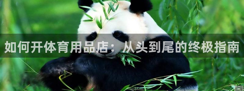 欧陆娱乐平台登录不上怎么办：如何开体育用品店：从头到