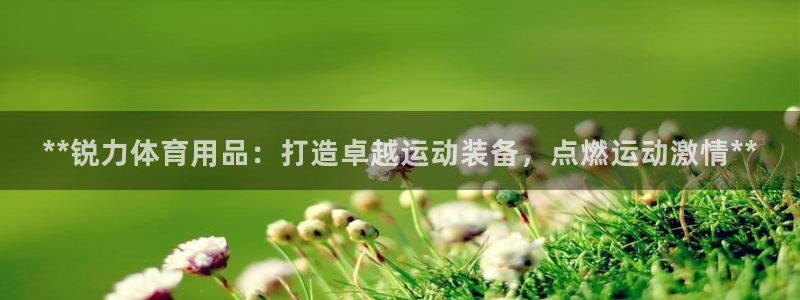 欧陆娱乐代理多少个点位合适：**锐力体育用品：打造卓