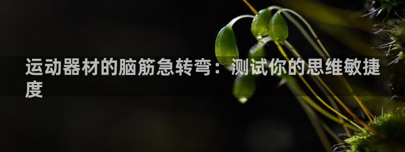 欧陆娱乐注册代理多少钱啊：运动器材的脑筋急转弯：测试