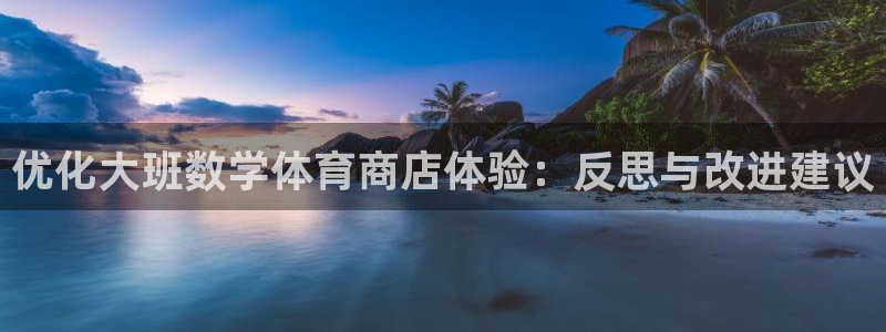 欧陆娱乐官网网址：优化大班数学体育商店体验：反思与改