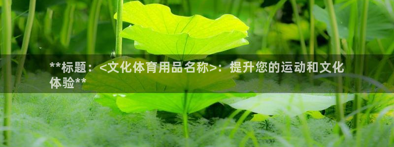 欧陆娱乐计划预测软件有哪些：**标题：<文化体育用品