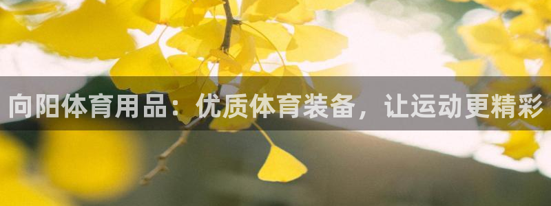 欧陆娱乐是干什么的：向阳体育用品：优质体育装备，让运