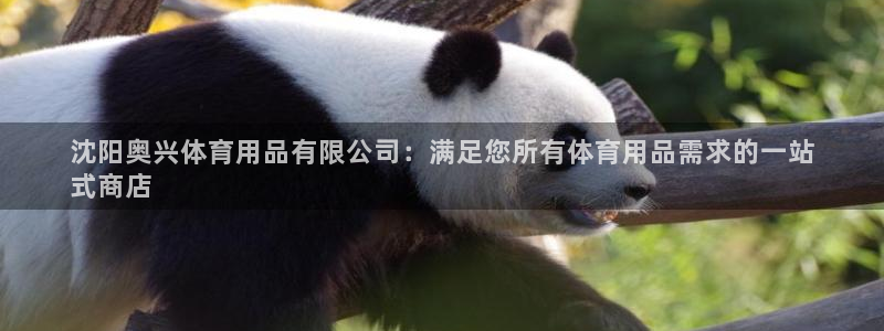 欧陆是什么平台：沈阳奥兴体育用品有限公司：满足您所有