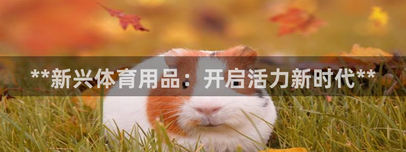 欧陆娱乐突然登录不了了