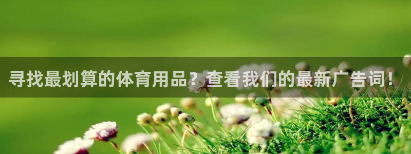 欧陆娱乐注册代理：寻找最划算的体育用品？查看我们的最