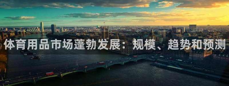 欧陆娱乐平台咋样赚钱的：体育用品市场蓬勃发展：规模、