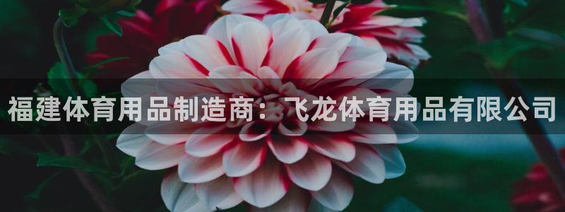 欧陆娱乐测试：福建体育用品制造商：飞龙体育用品有限公