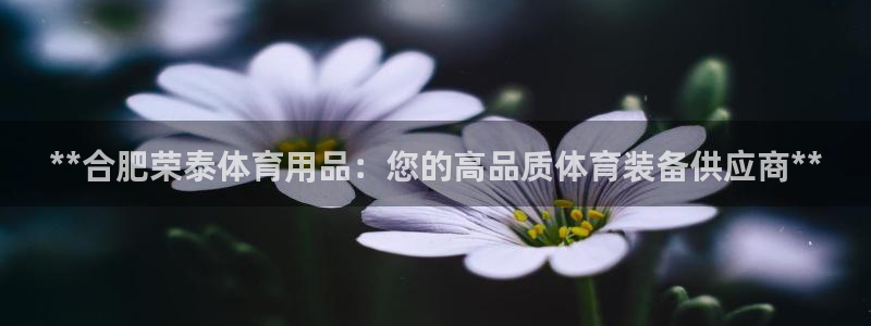 欧陆娱乐官网入口：**合肥荣泰体育用品：您的高品质体育装备供