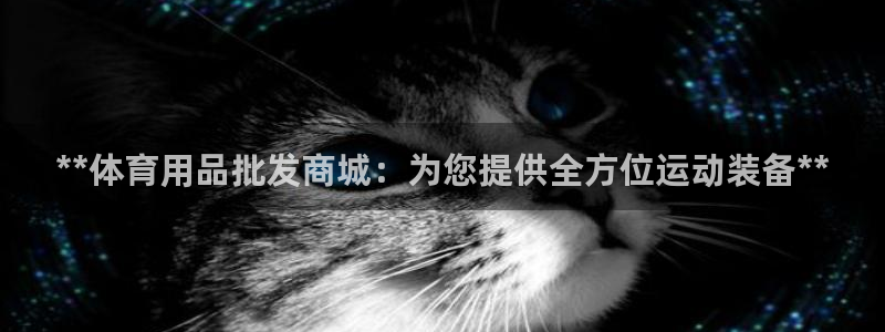 欧陆娱乐app攻略下载：**体育用品批发商城：为您提