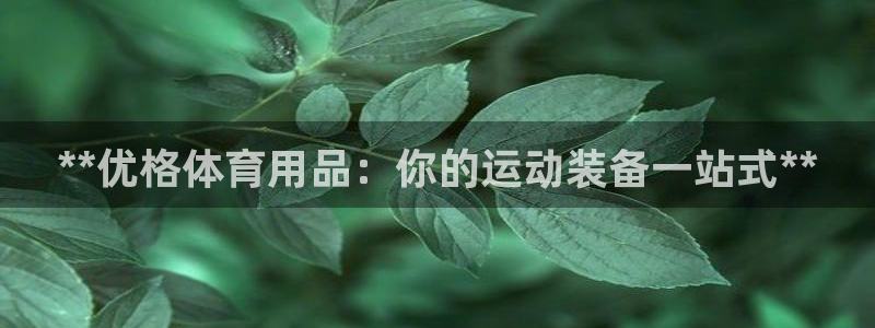 欧陆娱乐平台登录不上去怎么办：**优格体育用品：你的