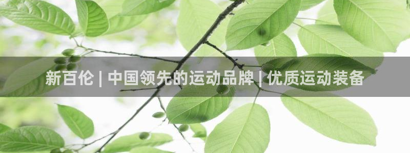 欧陆娱乐平台登陆地址：新百伦 | 中国领先的运动品牌