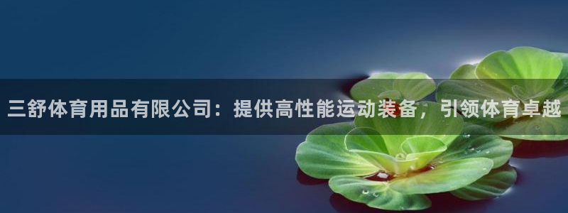 欧陆娱乐稳中：三舒体育用品有限公司：提供高性能运动装