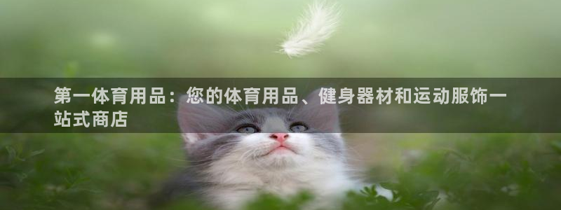 欧陆娱乐百科官网：第一体育用品：您的体育用品、健身器