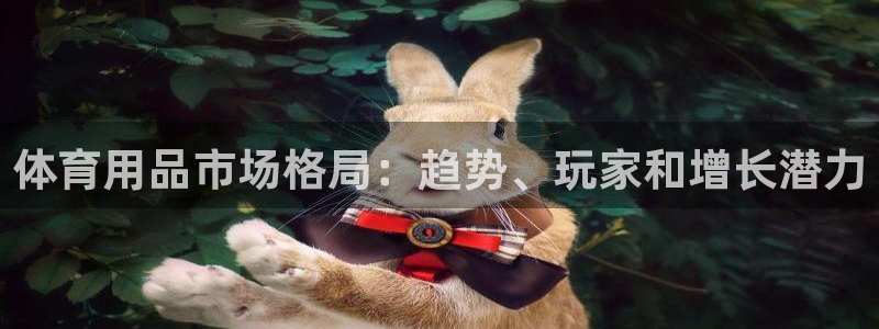 欧陆娱乐挂机怎么玩的：体育用品市场格局：趋势、玩家和