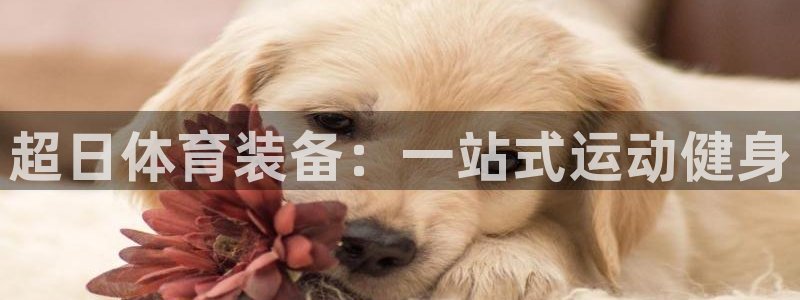 欧陆娱乐脚本下载：超日体育装备：一站式运动健身