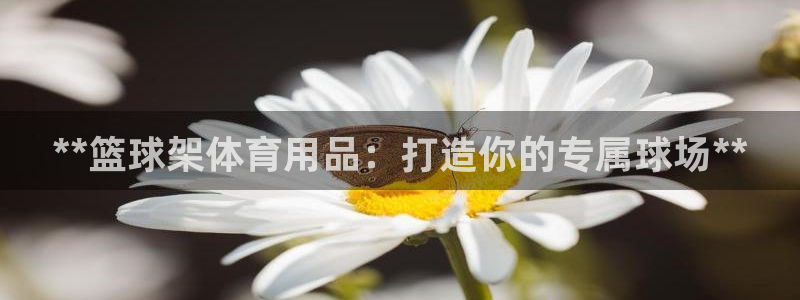 欧陆娱乐是正规平台吗安全吗可信吗是真的吗：**篮球架