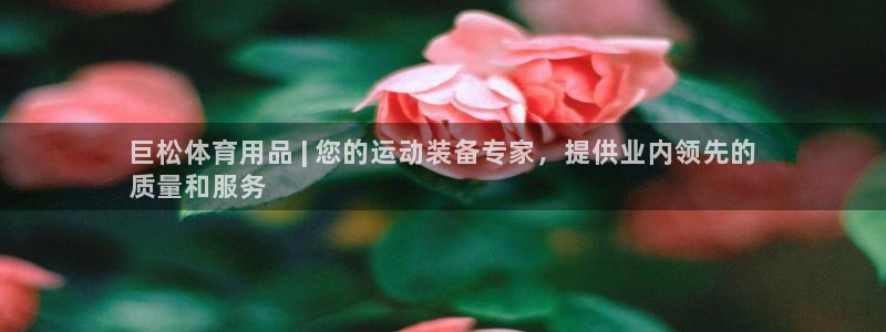 欧陆娱乐：巨松体育用品 | 您的运动装备专家，提供业