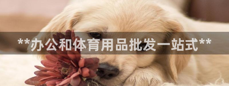 欧陆娱乐登陆平台：**办公和体育用品批发一站式**