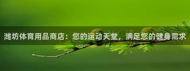 欧陆娱乐测试：潍坊体育用品商店：您的运动天堂，满足您
