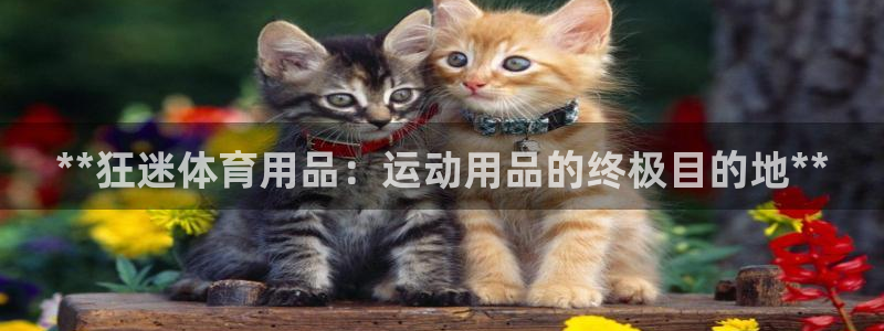欧陆娱乐登录注册平台