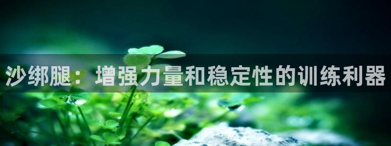 欧陆娱乐挂机项目怎么设置