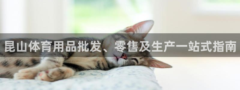欧陆娱乐突然登录不了了：昆山体育用品批发、零售及生产