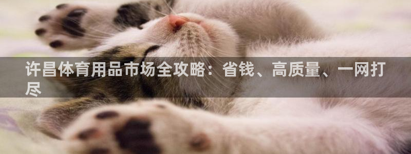 欧陆娱乐平台咋样赚钱：许昌体育用品市场全攻略：省钱、