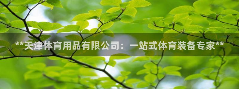 欧陆娱乐官网：**天津体育用品有限公司：一站式体育装