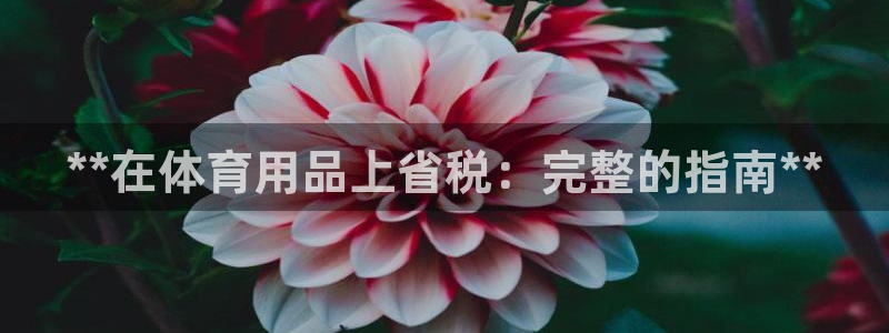 欧陆娱乐出款：**在体育用品上省税：完整的指南**
