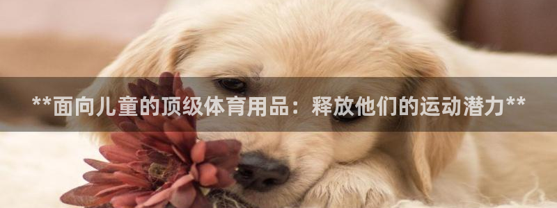 欧陆娱乐官网首页：**面向儿童的顶级体育用品：释放他