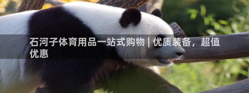 欧陆娱乐有限公司招聘：石河子体育用品一站式购物 | 