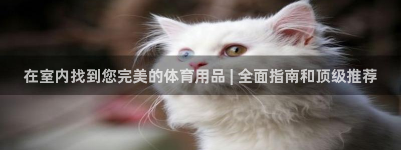 欧陆娱乐官网注册中心：在室内找到您完美的体育用品 |