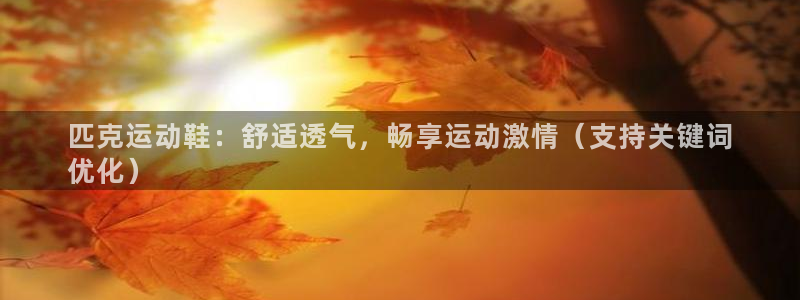 欧陆娱乐app打不开怎么回事：匹克运动鞋：舒适透气，