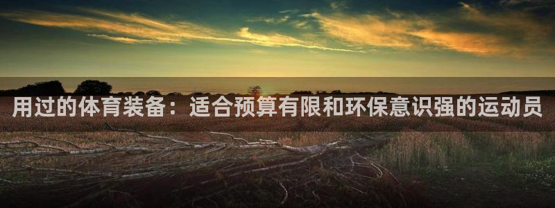 欧陆娱乐平台登录不上去怎么回事：用过的体育装备：适合