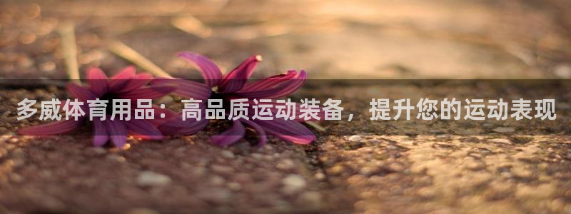 欧陆娱乐：多威体育用品：高品质运动装备，提升您的运动