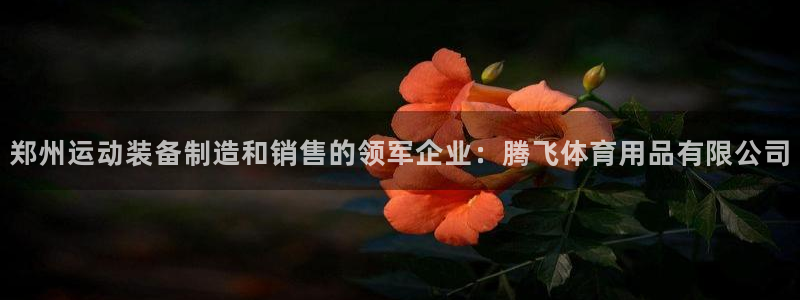 欧陆娱乐挂机怎么玩游戏