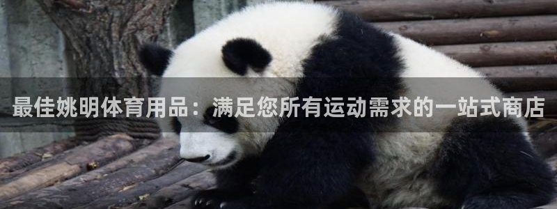 欧陆娱乐会员有什么用：最佳姚明体育用品：满足您所有运