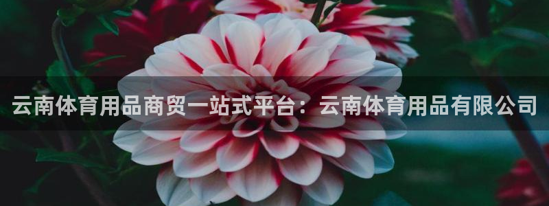 欧陆娱乐代理多少个点位
