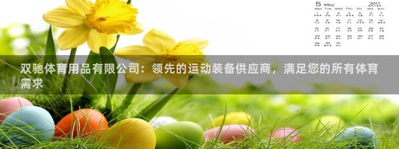 欧陆娱乐客服服务：双驰体育用品有限公司：领先的运动装