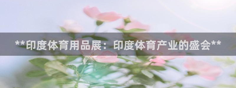 欧陆娱乐游戏特色：**印度体育用品展：印度体育产业的盛会**