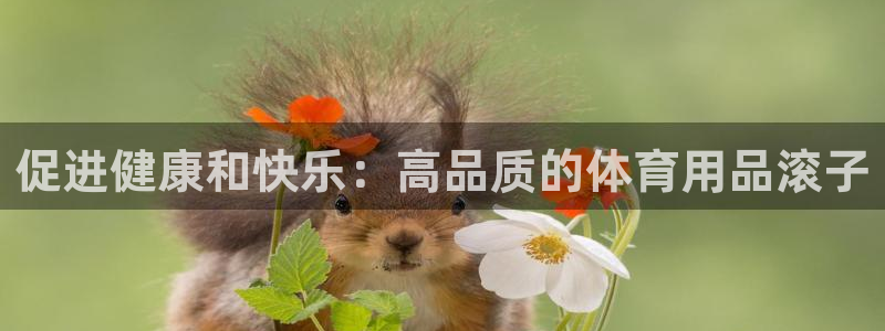 欧陆娱乐提现两百万：促进健康和快乐：高品质的体育用品