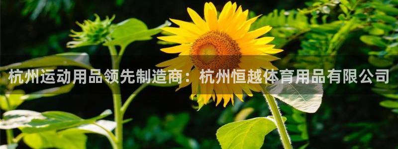 欧陆娱乐会员：杭州运动用品领先制造商：杭州恒越体育用