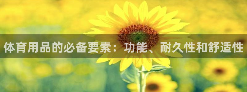 欧陆娱乐官方网站首页：体育用品的必备要素：功能、耐久