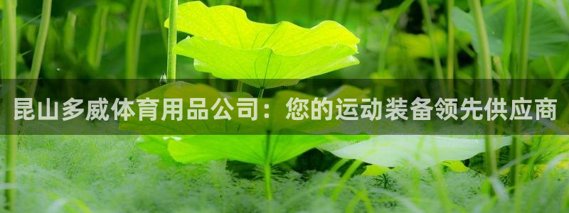 欧陆娱乐注册链接怎么弄的：昆山多威体育用品公司：您的